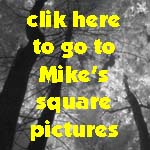 click here to see square pictures