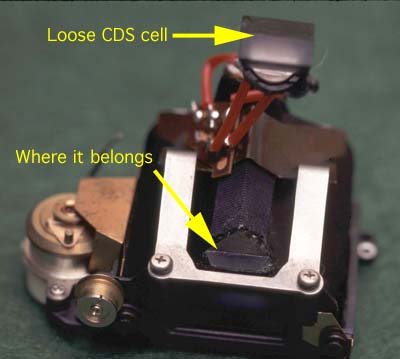 loose cds cell